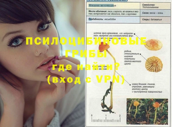 бошки Верея
