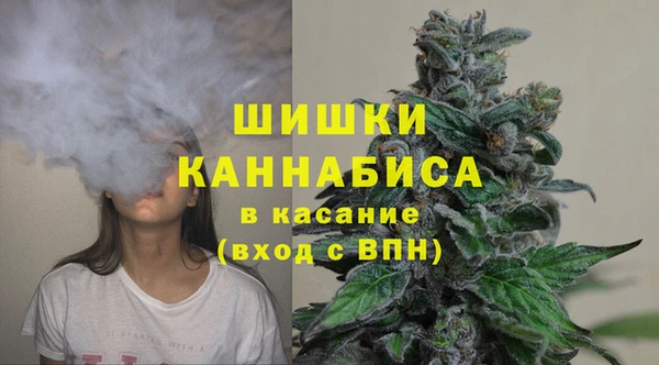 бошки Верея