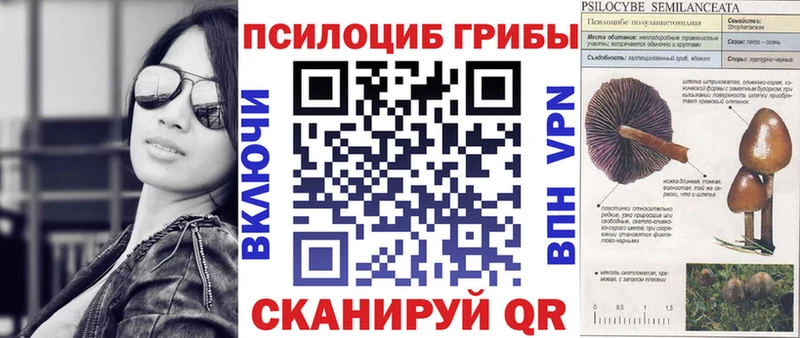 kraken ССЫЛКА  Вятские Поляны  Галлюциногенные грибы Magic Shrooms  закладки 