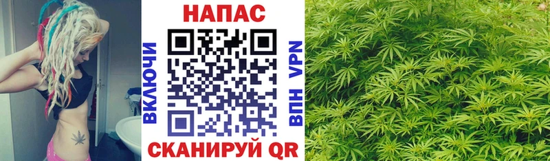 Бошки марихуана MAZAR  сколько стоит  Вятские Поляны 